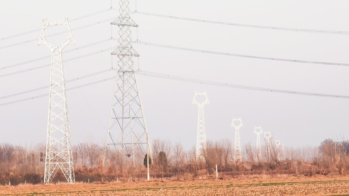 威縣澤恩蔬菜種植有限公司雨養(yǎng)型節(jié)水高效蔬菜大棚88MW農(nóng)光互補發(fā)電項目外送線路及對側間隔EPC