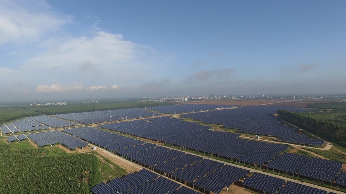  遂溪縣遂西光伏農(nóng)業(yè)綜合利用項目（一期40MW）光伏電站項目