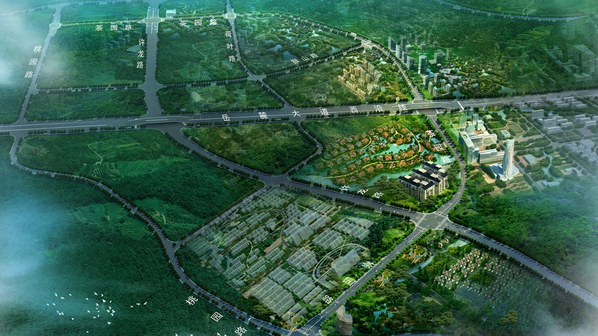 桐寧路、茶園路道路工程