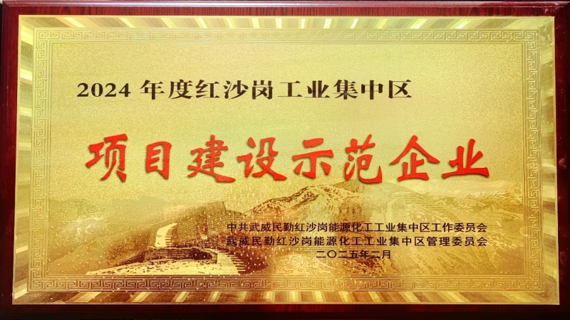 高效履約樹(shù)標(biāo)桿！中機(jī)國(guó)際被評(píng)為民勤紅沙崗工業(yè)區(qū) “2024年度項(xiàng)目建設(shè)示范企業(yè)”