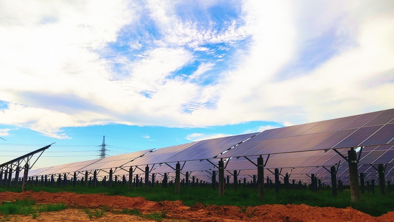 河北威縣澤恩蔬菜種植有限公司雨養(yǎng)型節(jié)水高效蔬菜大棚 88MW 農(nóng)光互補(bǔ)發(fā)電項目