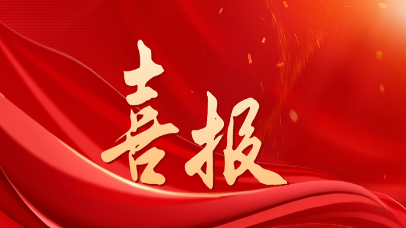 喜報！中機國際獲評中央企業(yè)“雙百行動”優(yōu)秀企業(yè)